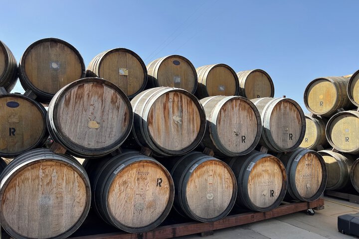 Vineyard