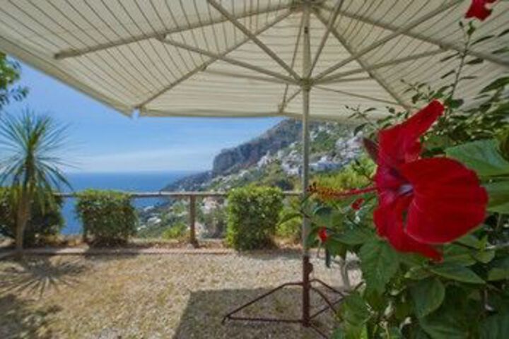 Terrace/Patio 16 of 16