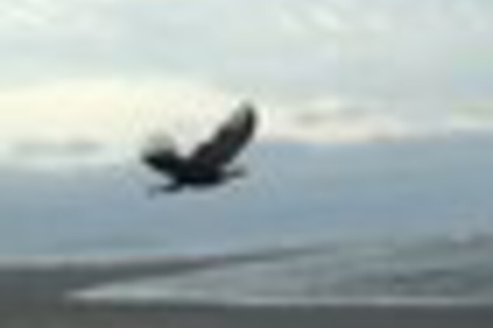 Beach 110 of 123