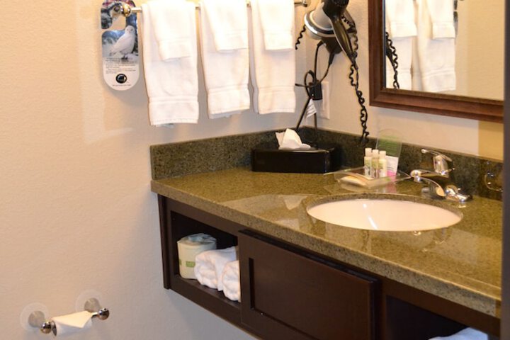 Standard 2 Queen Beds Accessible (7 of 31)