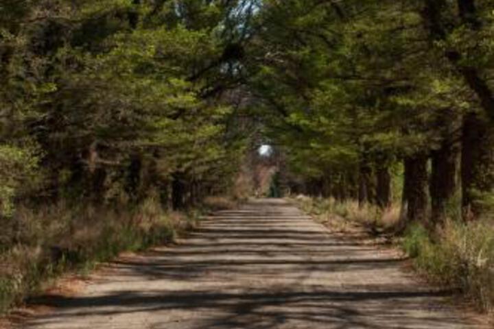 General 12 of 21