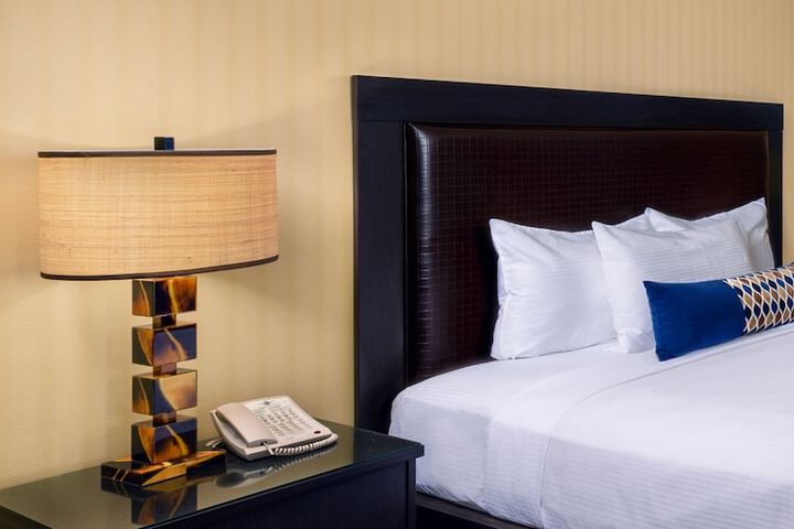 Deluxe King Bed (2 of 8)