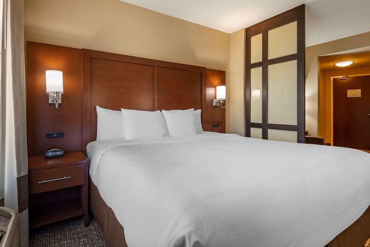 1 King Bed Suite (13 of 30)