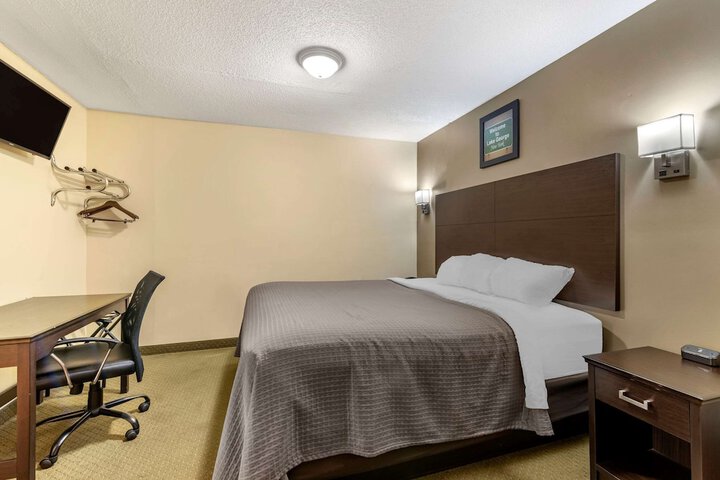 Standard | King Bed (2 of 8)