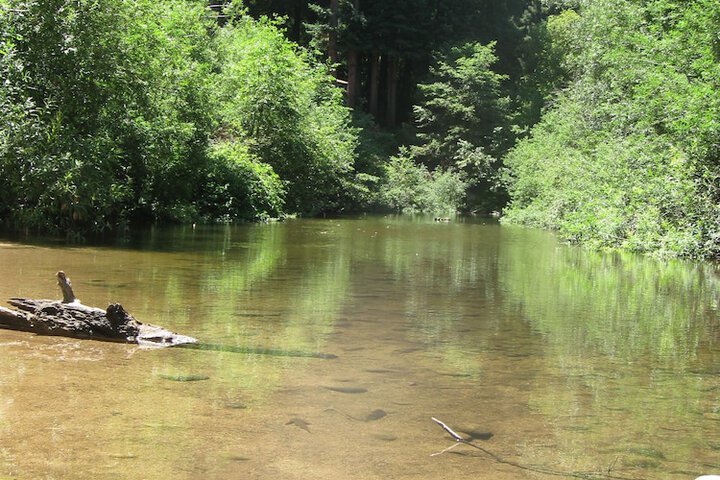 Property Grounds 327 of 329