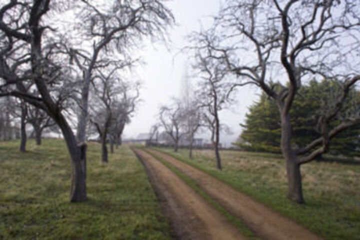 Property Grounds 72 of 74