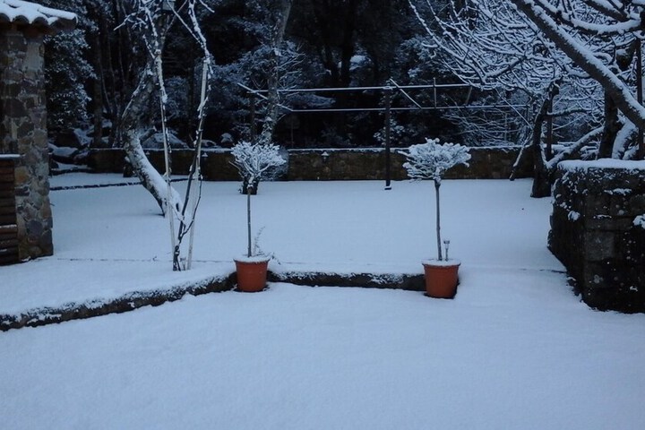 Terrace/Patio 29 of 38