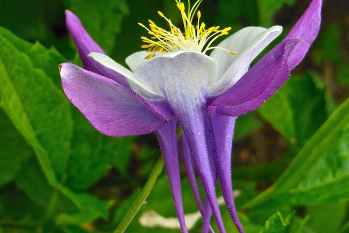 Hotel Exterior 27 of 37