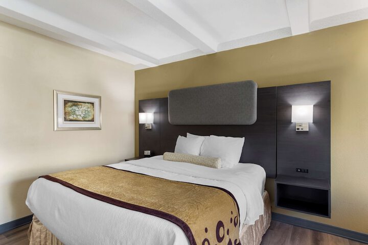 1 King Accessible Roll in Shower Exterior Entrance Microwave, Refrigerator WiFi Full Breakfast (19 of 22)