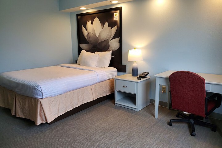 1 Queen Bed (8 of 11)