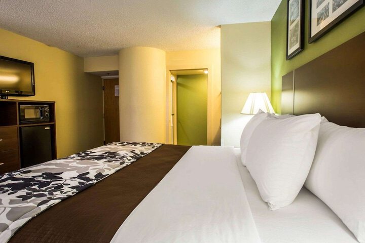 1 King Bed (3 of 8)
