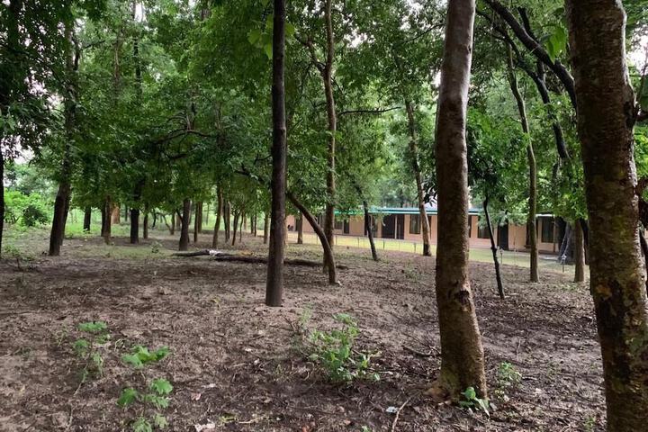 Property Grounds 14 of 21