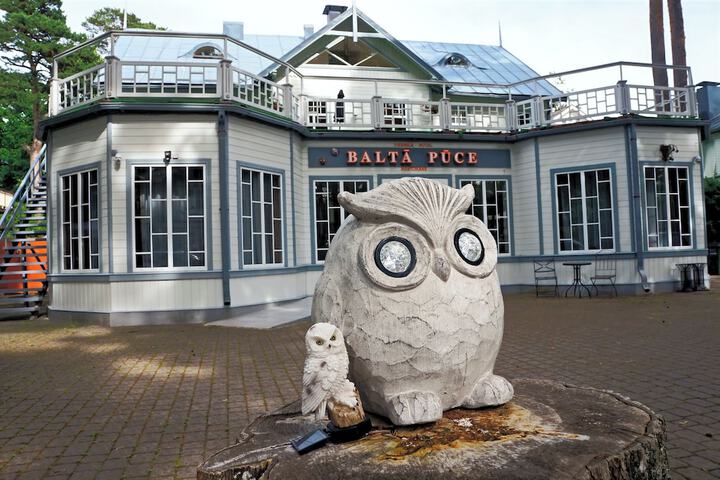 Balta Puce hotel