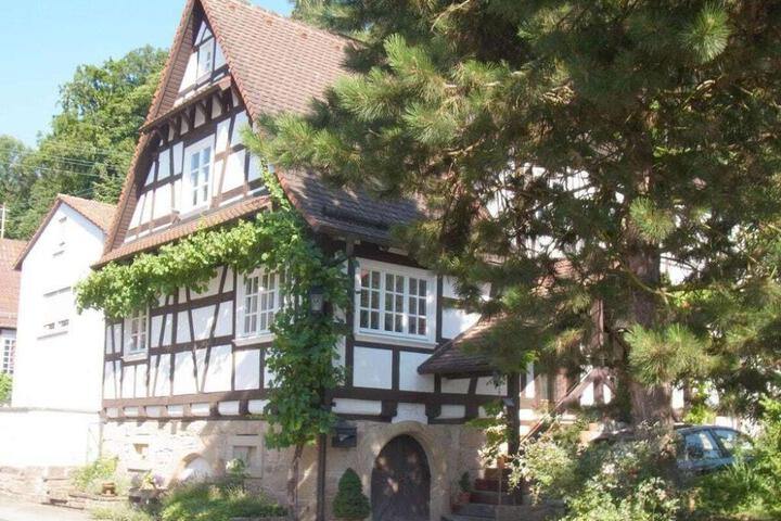 Pfaelzerleben Palatinate experience
