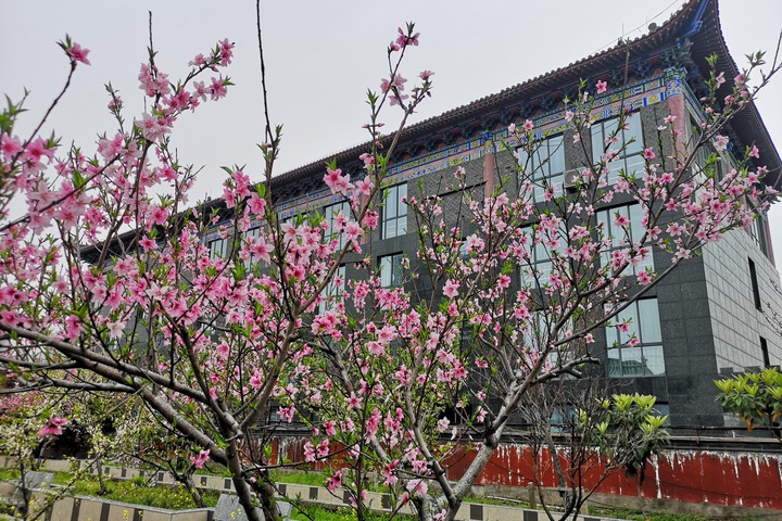 Dehuatang Intrenational Hotel