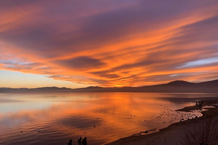 Property Grounds 105 of 130