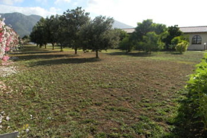 Property Grounds 72 of 88