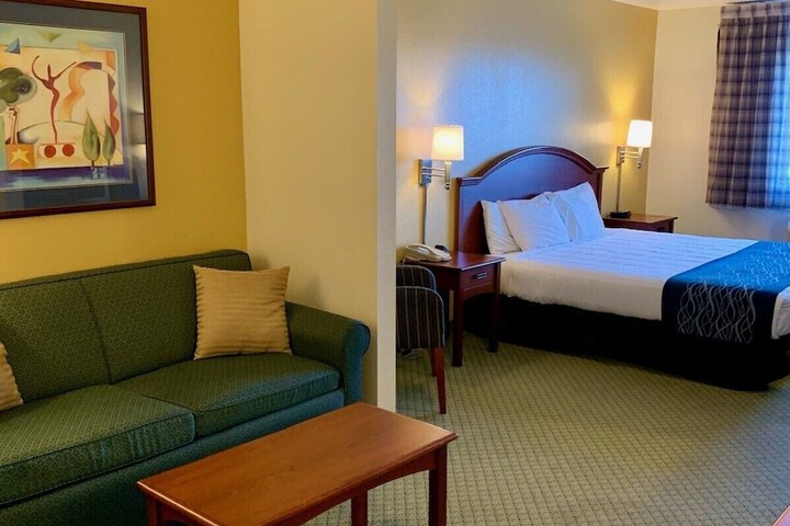 Standard King Bed Accessible (2 of 9)