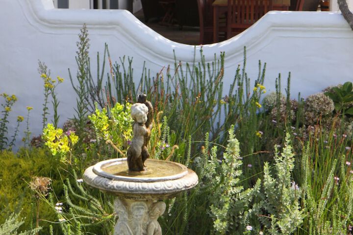 Terrace/Patio 56 of 66