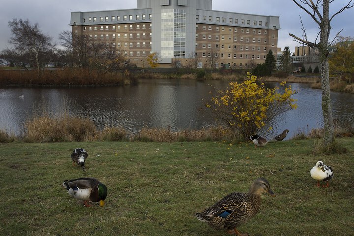 Property Grounds 43 of 51