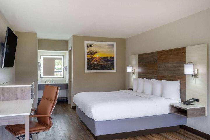1 King Bed (6 of 12)