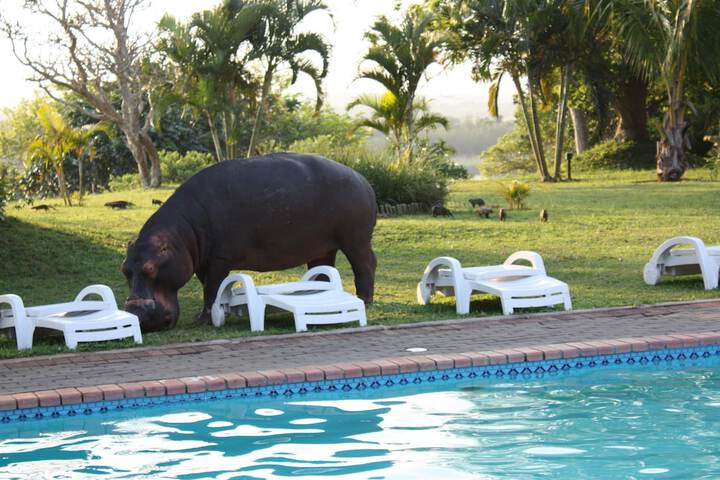 Pool 44 of 91
