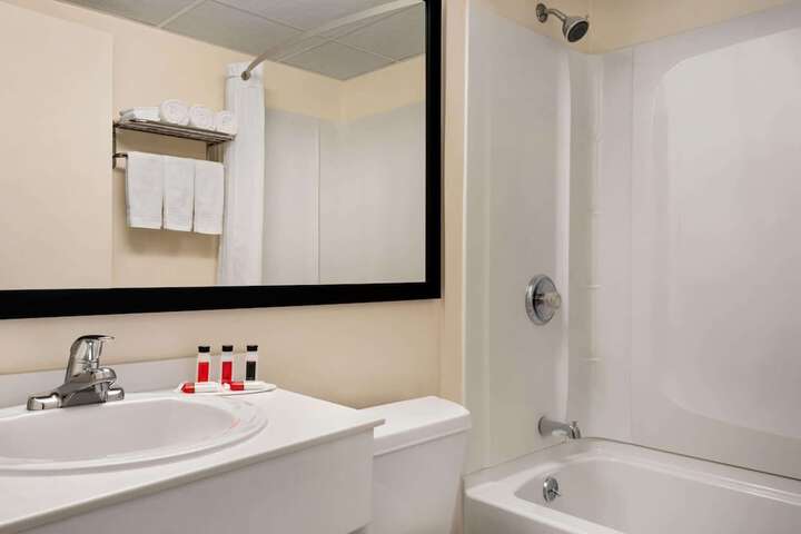 1 Double Bed Mobility Hearing Accessible Room Bathtub with Grab Bars (5 of 10)