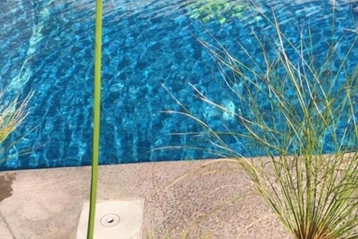 Pool 31 of 81