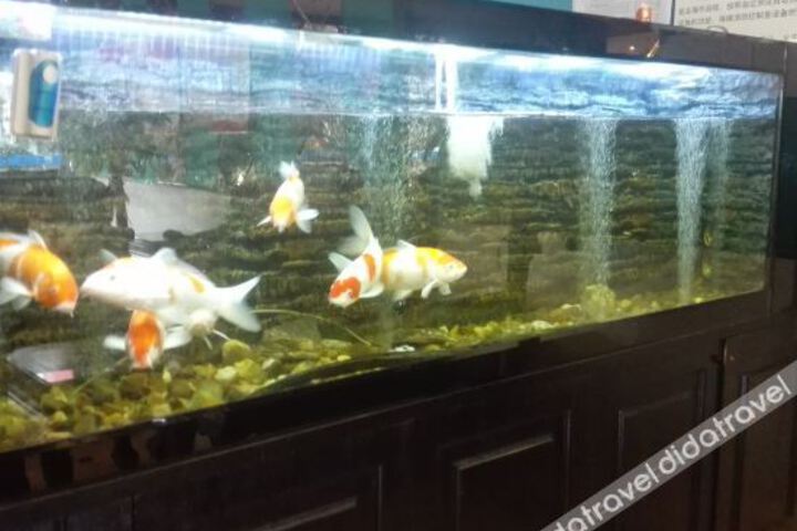 Mindu Travel Hotel