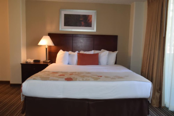 Studio Suite Queen Bed (6 of 18)