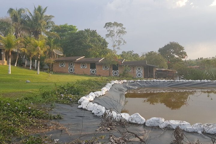 Property Grounds 15 of 21
