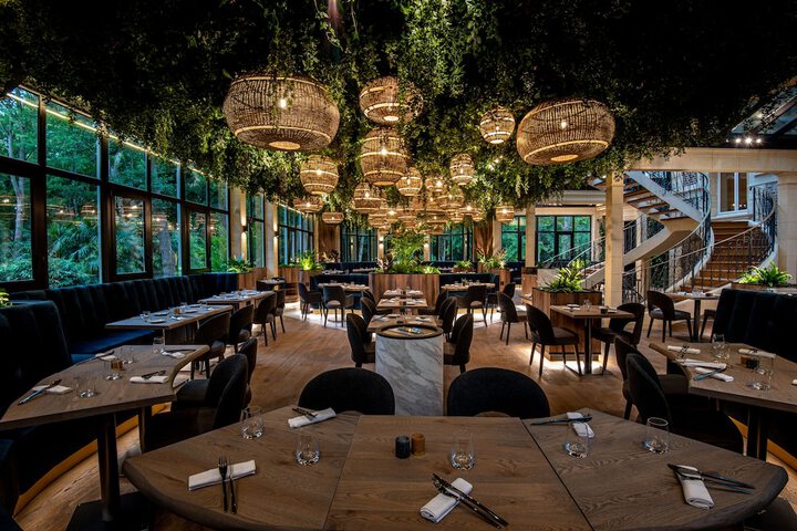 Dining 54 of 74