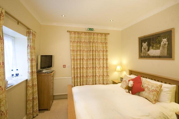 Room 47 of 118