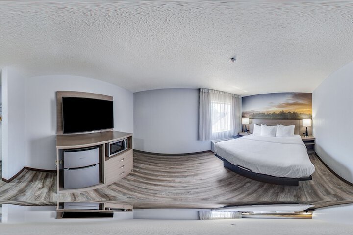 1 King Bed Suite (8 of 24)