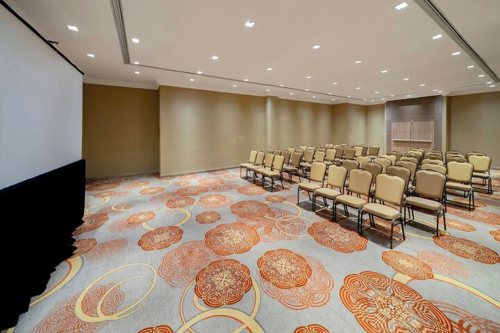 Meeting 233 of 256
