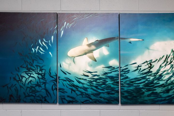 Hotel Interior 63 of 75