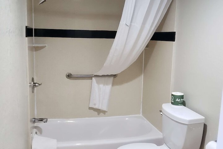 1 King Bed Flat Screen Television Microwave and Refrigerator High Speed Internet Accessible (3 of 7)