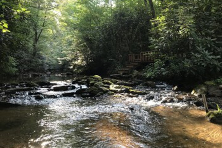 Property Grounds 48 of 68