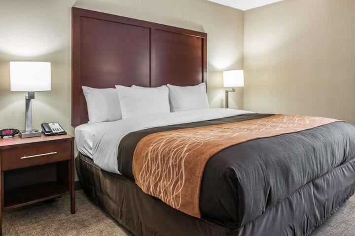 Standard Room, King or Two Doubles