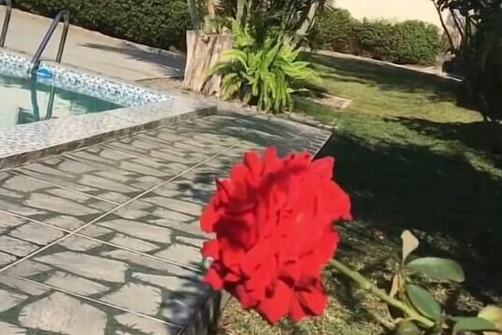 Terrace/Patio 36 of 65