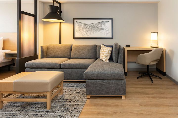 1 King Bed Sofa (4 of 11)
