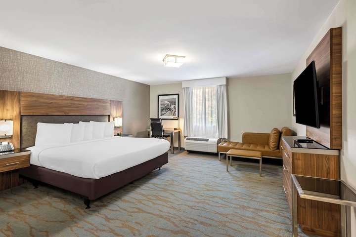 1 King Bed (26 of 29)