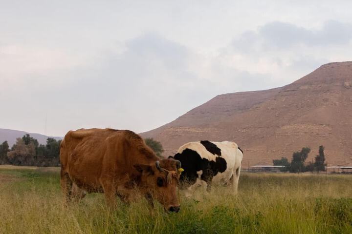Hotel Exterior 34 of 51
