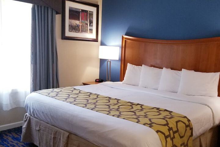 1 King Bed 1 Queen Bed Suite (1 of 19)