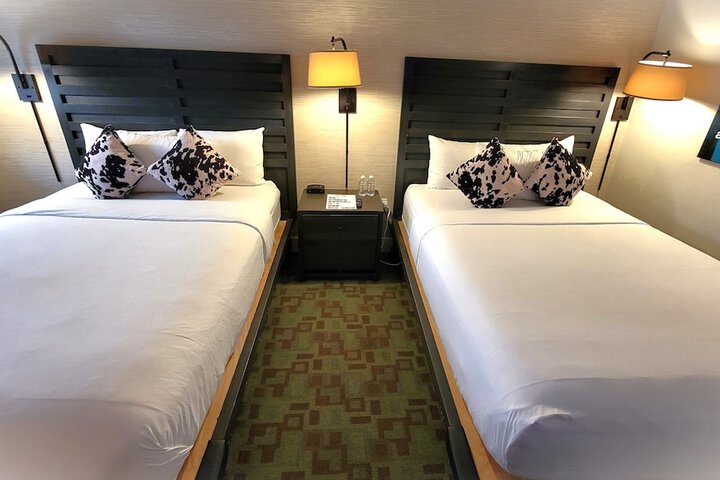 Room 5 of 20