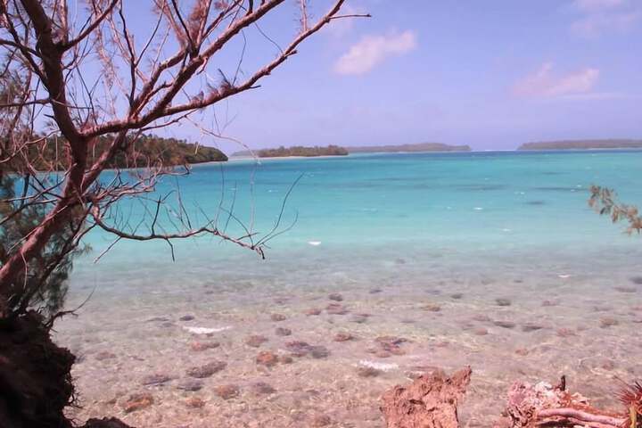 Beach 44 of 59