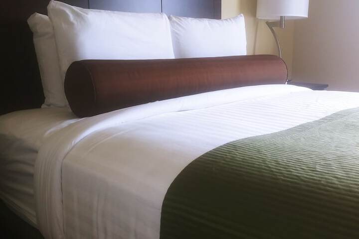 2 Queen Beds (1 of 8)