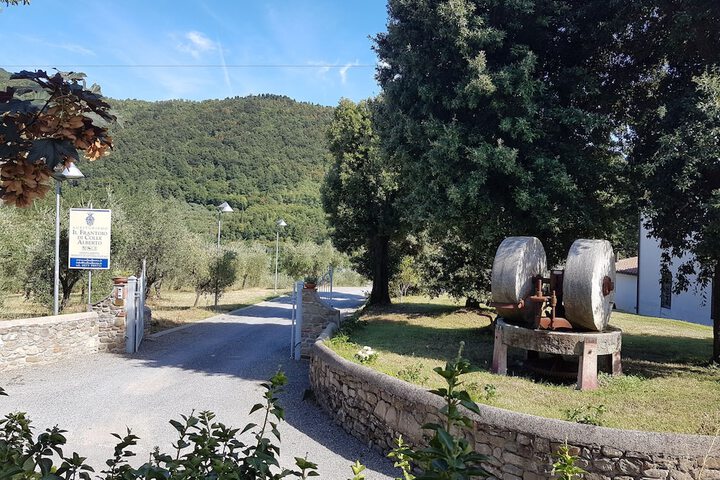 Agriturismo Il Frantoio di Colle Alberto in Montale