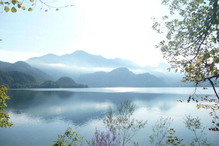 Photo 30