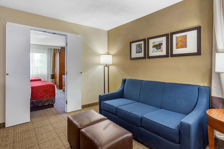 1 King Bed Suite (11 of 14)
